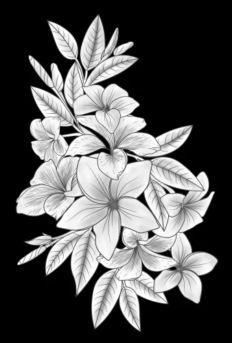 Цветочная композиция 045 (франжипани) 