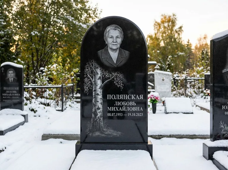 Памятник с гравировкой берёзы: полукруглая стела — объёмная одинокая берёза с фактурной корой, заснеженный зимний участок, работа «Полянская» в Санкт-Петербурге