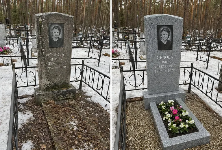 Уборка могилы до и после весной — сосны в Санкт-Петербурге